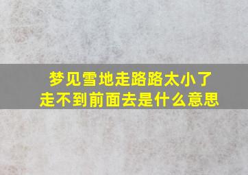 梦见雪地走路路太小了走不到前面去是什么意思