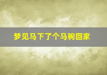 梦见马下了个马驹回家