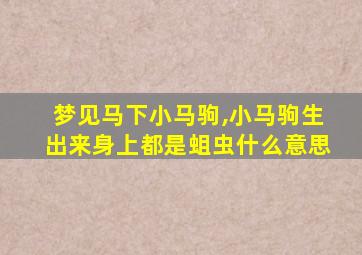 梦见马下小马驹,小马驹生出来身上都是蛆虫什么意思