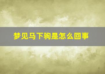 梦见马下驹是怎么回事