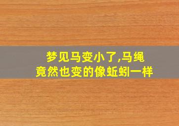 梦见马变小了,马绳竟然也变的像蚯蚓一样