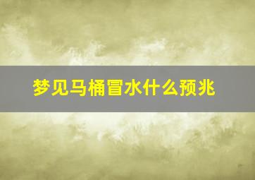 梦见马桶冒水什么预兆