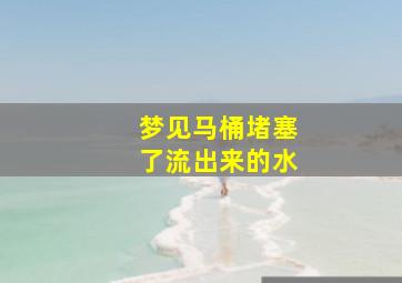 梦见马桶堵塞了流出来的水