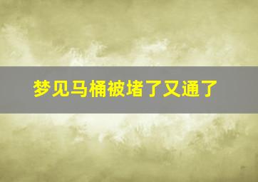 梦见马桶被堵了又通了