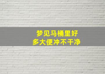 梦见马桶里好多大便冲不干净