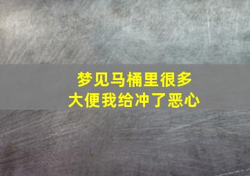 梦见马桶里很多大便我给冲了恶心