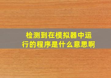 检测到在模拟器中运行的程序是什么意思啊