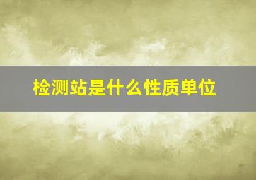 检测站是什么性质单位