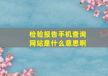 检验报告手机查询网站是什么意思啊