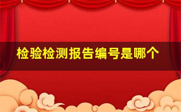 检验检测报告编号是哪个