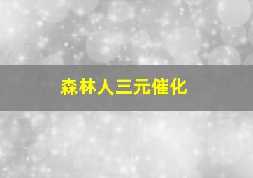 森林人三元催化