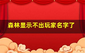 森林显示不出玩家名字了