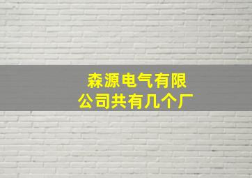 森源电气有限公司共有几个厂