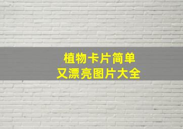 植物卡片简单又漂亮图片大全