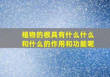 植物的根具有什么什么和什么的作用和功能呢