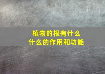 植物的根有什么什么的作用和功能