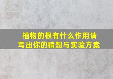 植物的根有什么作用请写出你的猜想与实验方案