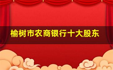 榆树市农商银行十大股东