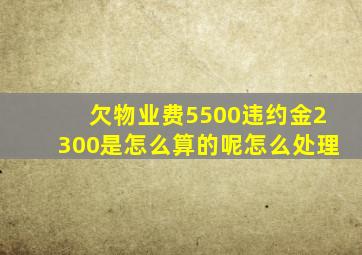 欠物业费5500违约金2300是怎么算的呢怎么处理