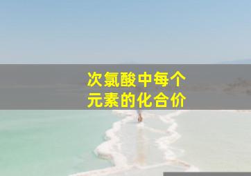 次氯酸中每个元素的化合价