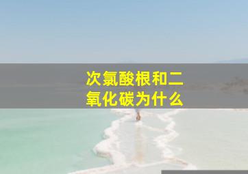 次氯酸根和二氧化碳为什么