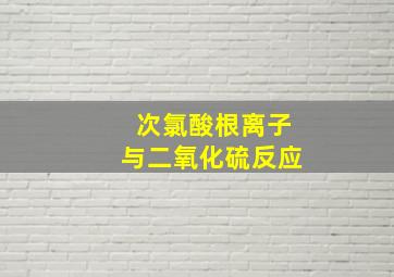 次氯酸根离子与二氧化硫反应