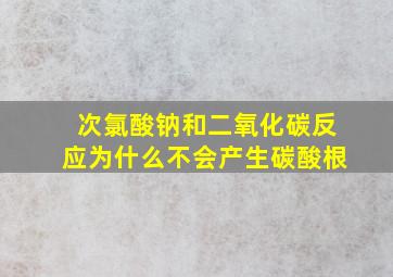 次氯酸钠和二氧化碳反应为什么不会产生碳酸根