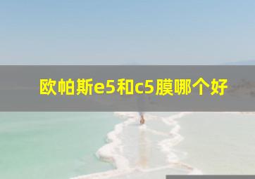 欧帕斯e5和c5膜哪个好