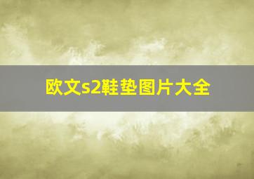 欧文s2鞋垫图片大全