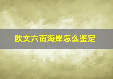 欧文六南海岸怎么鉴定