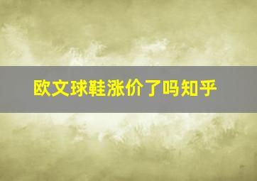 欧文球鞋涨价了吗知乎