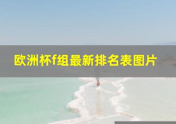 欧洲杯f组最新排名表图片