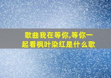 歌曲我在等你,等你一起看枫叶染红是什么歌