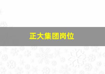 正大集团岗位