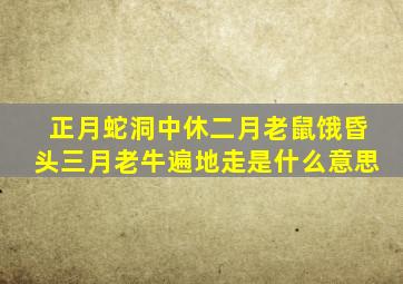 正月蛇洞中休二月老鼠饿昏头三月老牛遍地走是什么意思