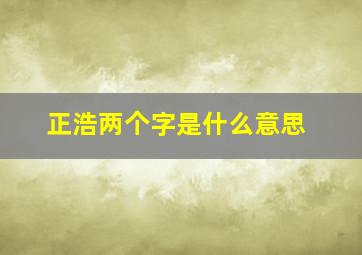 正浩两个字是什么意思