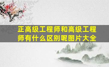 正高级工程师和高级工程师有什么区别呢图片大全