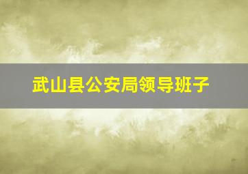 武山县公安局领导班子