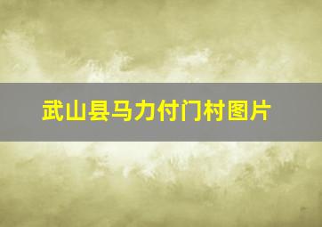 武山县马力付门村图片