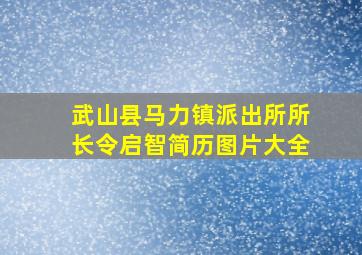 武山县马力镇派出所所长令启智简历图片大全