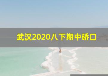 武汉2020八下期中硚口