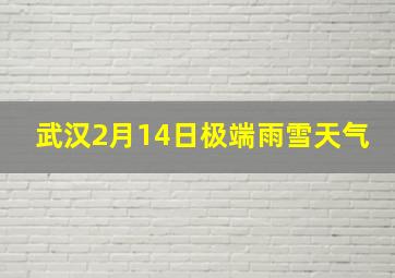 武汉2月14日极端雨雪天气