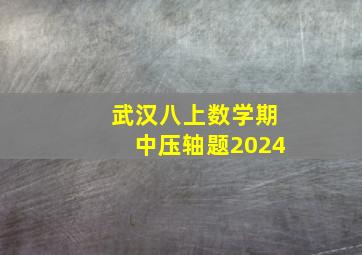 武汉八上数学期中压轴题2024