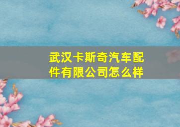 武汉卡斯奇汽车配件有限公司怎么样