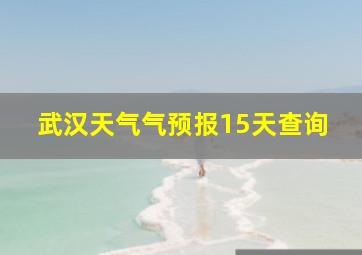 武汉天气气预报15天查询