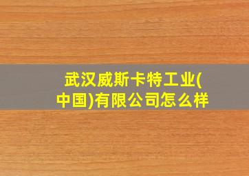 武汉威斯卡特工业(中国)有限公司怎么样