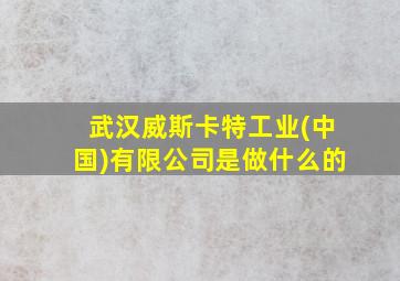 武汉威斯卡特工业(中国)有限公司是做什么的