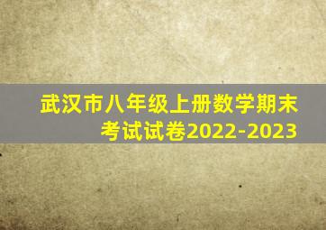 武汉市八年级上册数学期末考试试卷2022-2023