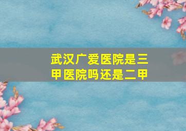 武汉广爱医院是三甲医院吗还是二甲