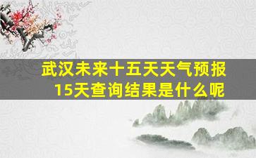 武汉未来十五天天气预报15天查询结果是什么呢